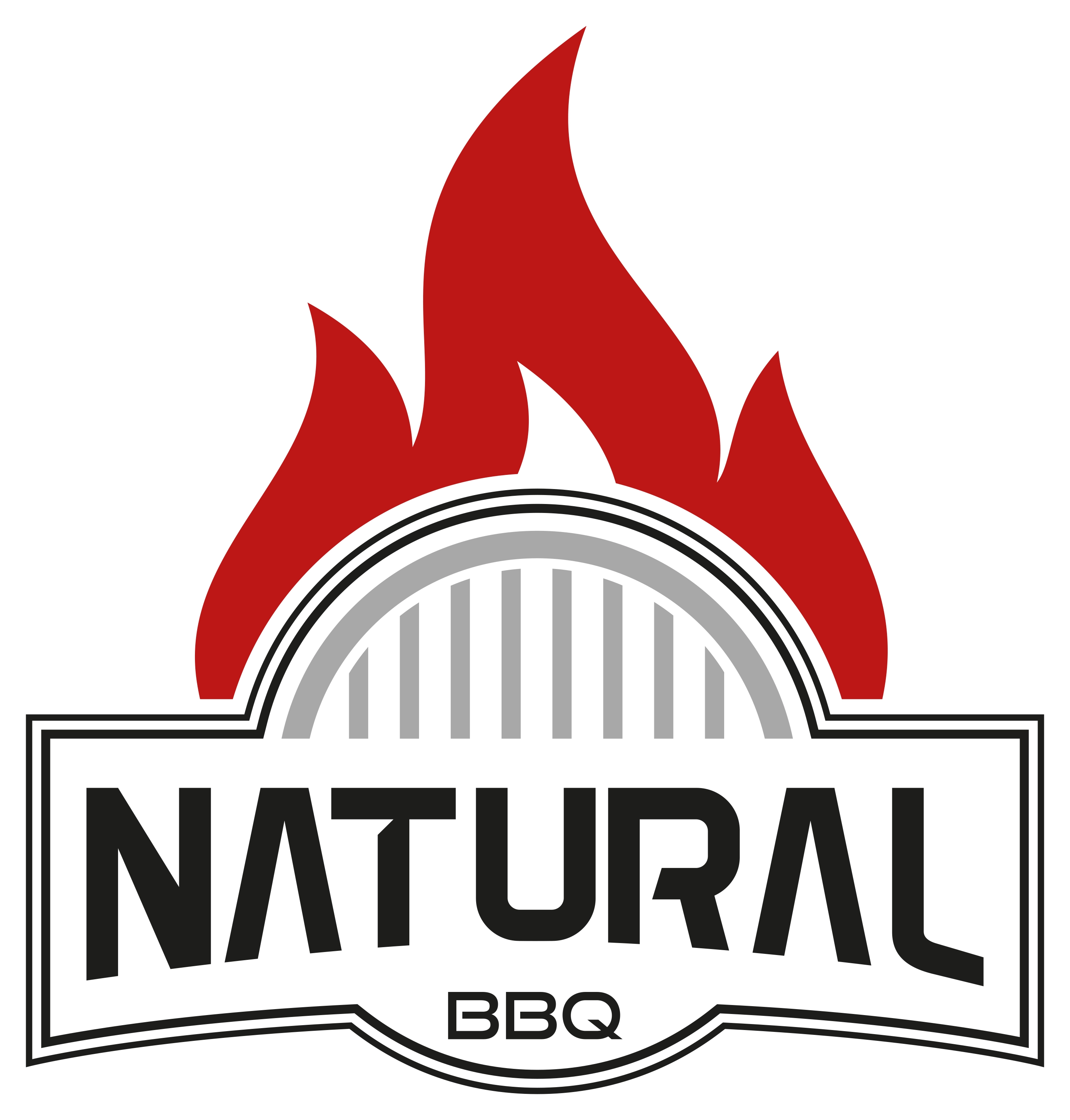 NATURAL BBQ